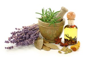 گیاهان دارویی