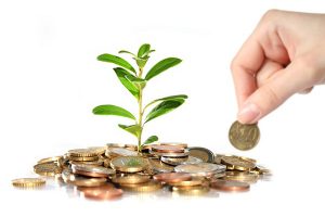 کسب‌وکار کشاورزی