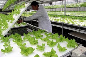 فناوری‌های نوین کشاورزی