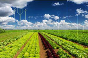 فناوری‌های نوین کشاورزی
