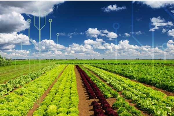 فناوری‌های نوین کشاورزی