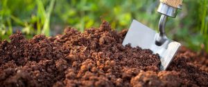 مدیریت خاک و کود دادن 