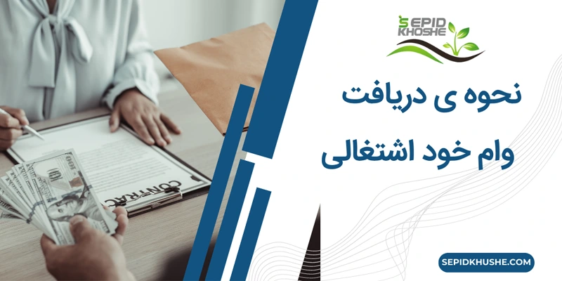 نکات طلایی و مهم برای دریافت وام خود اشتغالی